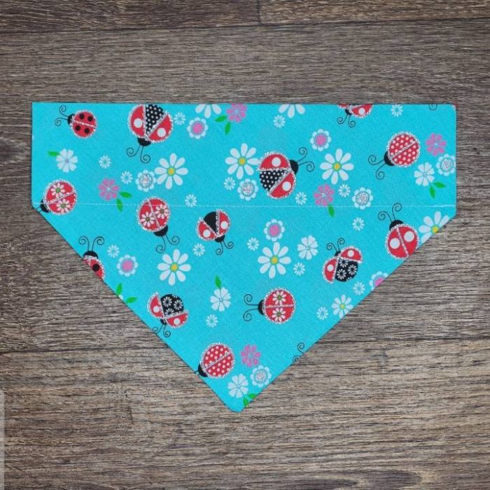 Ladybug Bandana