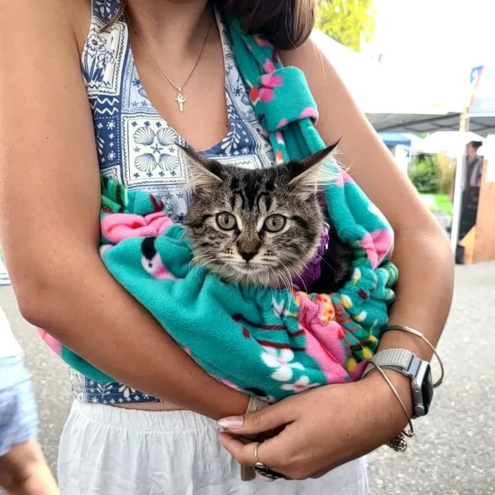 CARE-EE ME Pet Sling - Retro Gamer - Image 6