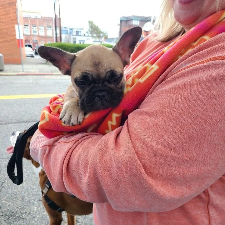 CARE-EE ME Pet Sling - Retro Gamer - Image 8