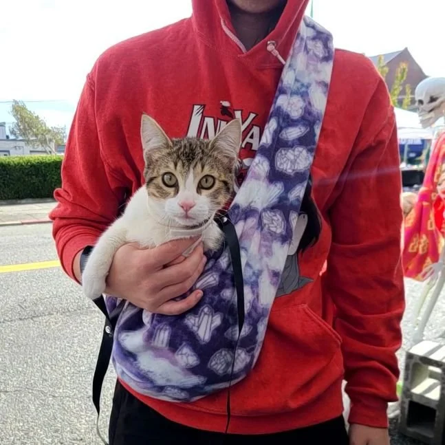 CARE-EE ME Pet Sling - Retro Gamer - Image 2