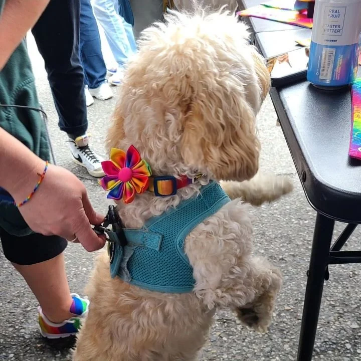 Flower - Blueberry - Image 4