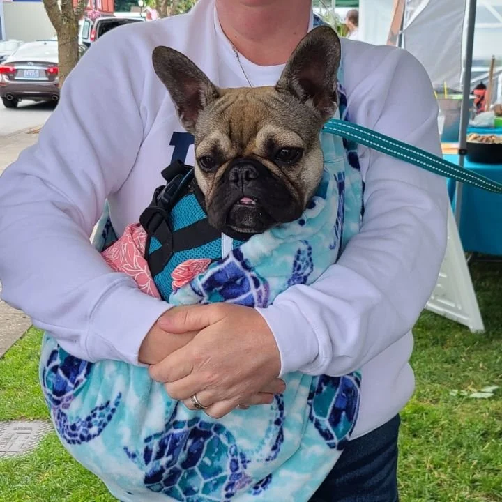 CARE-EE ME Pet Sling - Retro Gamer - Image 3