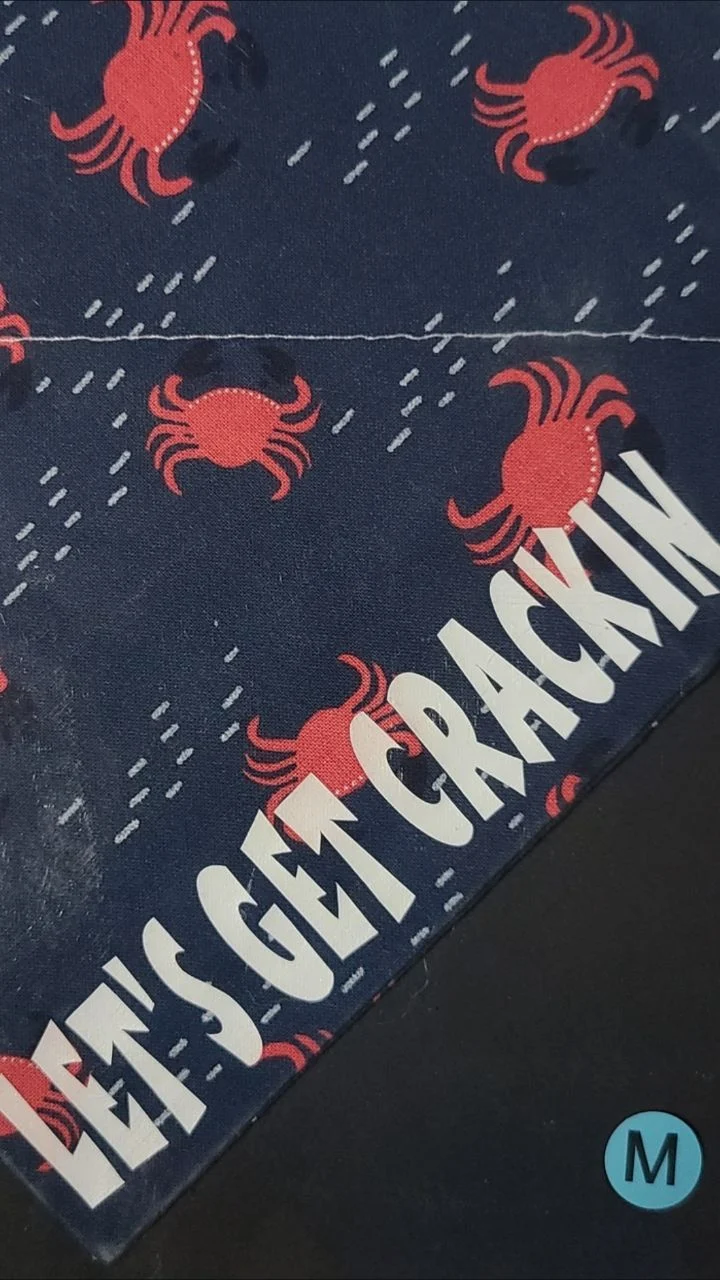 (M) Bandana "Let's Get Crackin"